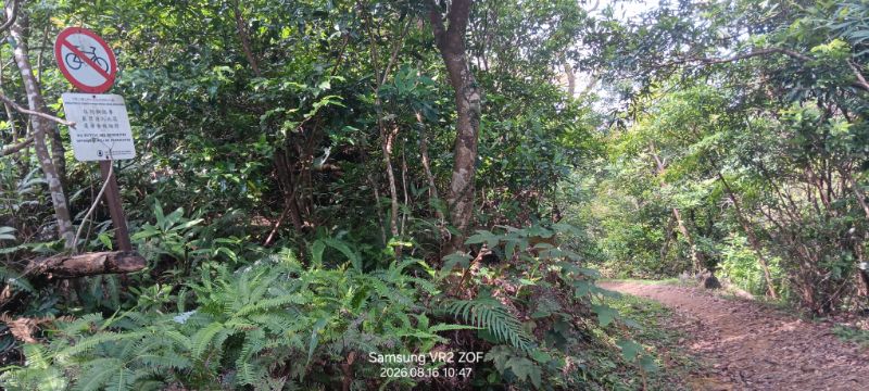 IMG_20260819_4174.jpg