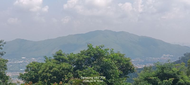 IMG_20260819_3326.jpg