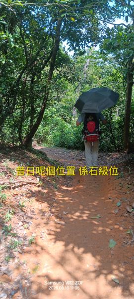 IMG_20260819_2730.jpg