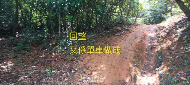 IMG_20260819_2447.jpg