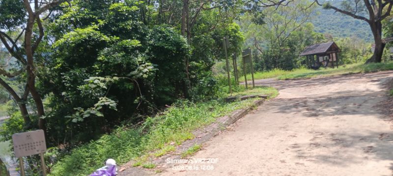IMG_20260819_55669.jpg