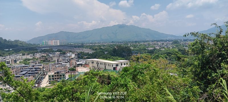 IMG_20260819_53739.jpg