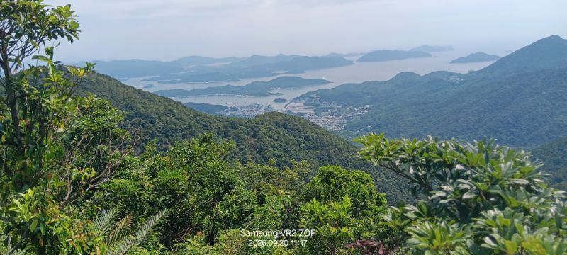 IMG_20260923_41568.jpg