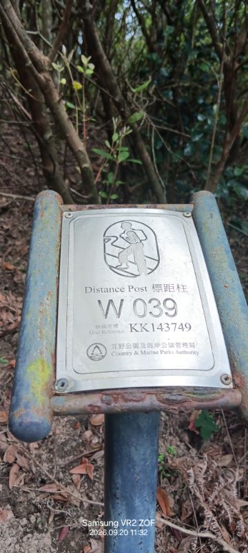 IMG_20260923_4026.jpg