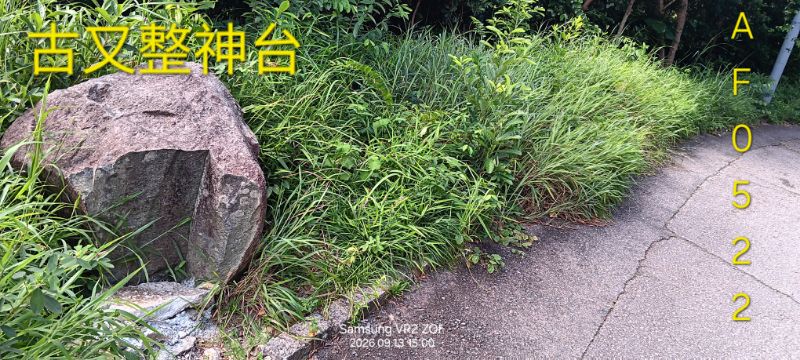 IMG_20260924_58584.jpg