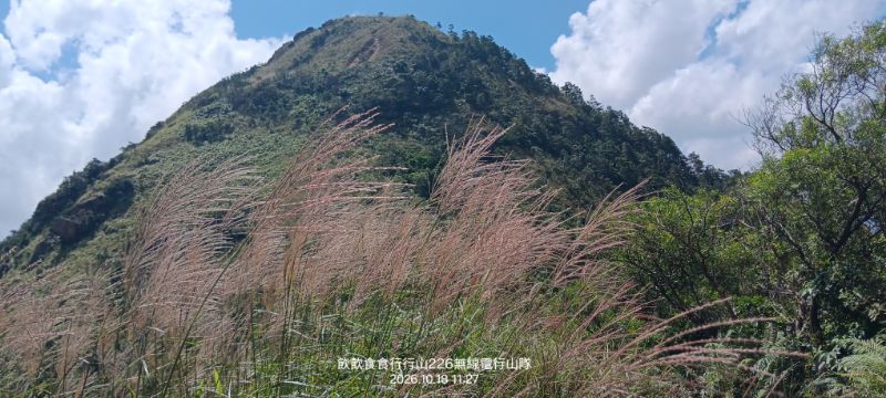 IMG_20261021_59875.jpg