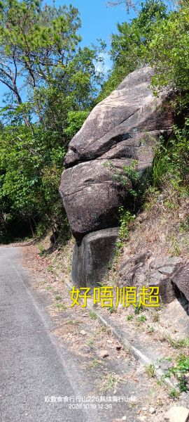 IMG_20261021_52208.jpg