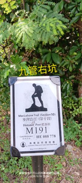 IMG_20261021_58963.jpg