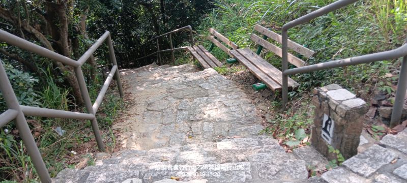 IMG_20261021_13487.jpg