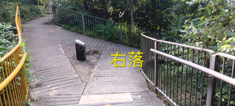 IMG_20261021_14263.jpg