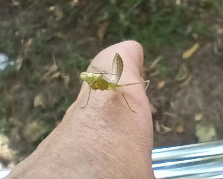 IMG_20261023_34646.jpg