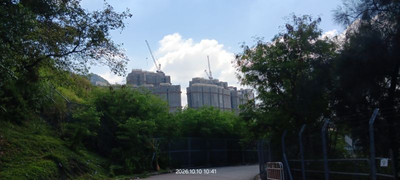 IMG_20261023_36763.jpg