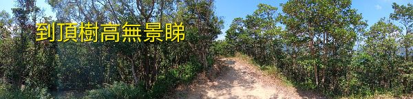 IMG_20261023_47966.jpg