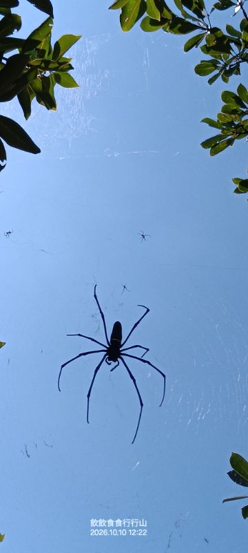 IMG_20261023_48185.jpg