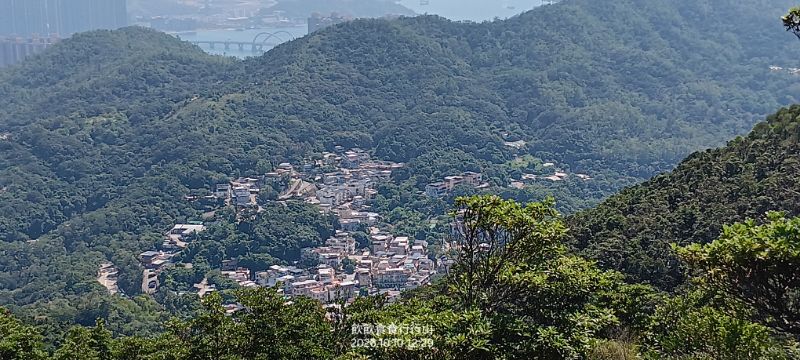 IMG_20261023_51427.jpg