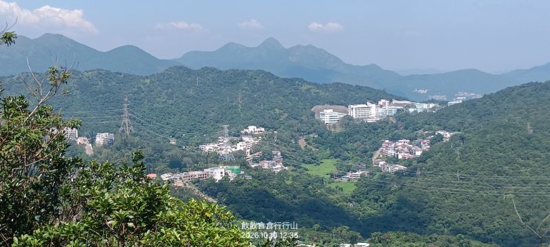 IMG_20261023_53167.jpg