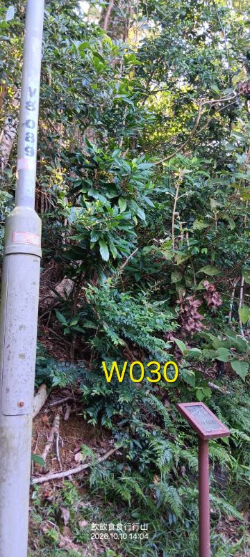 IMG_20261023_59678.jpg