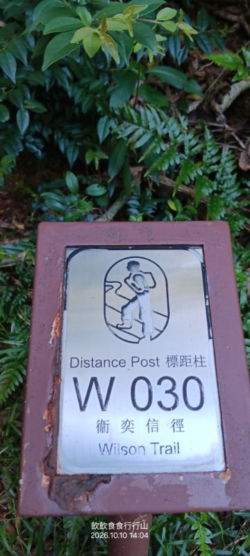 IMG_20261023_59931.jpg