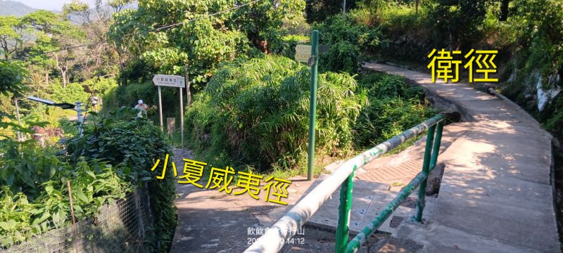 IMG_20261023_1477.jpg