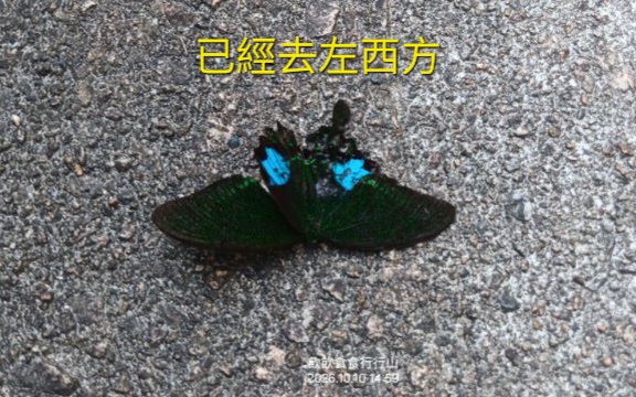 IMG_20261023_5961.jpg