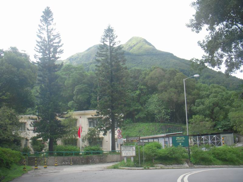 DSCN2342.jpg