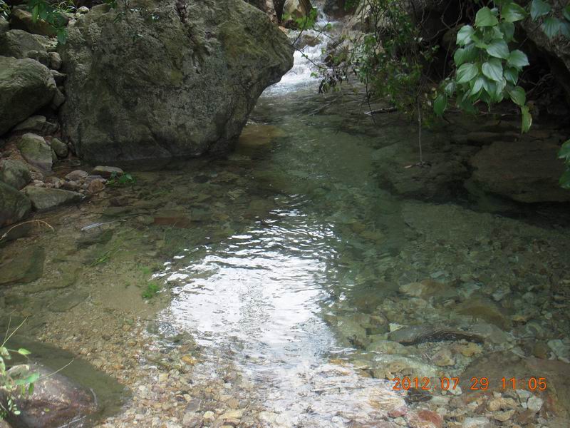 DSCN2434.jpg