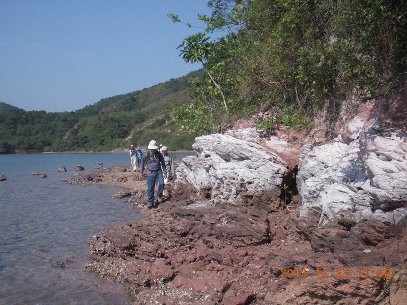 DSCN9920.jpg