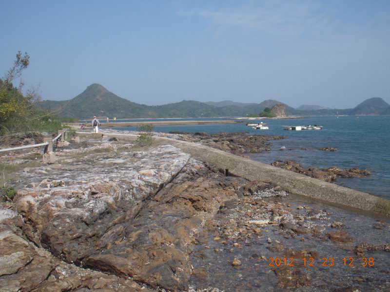 DSCN9933.jpg