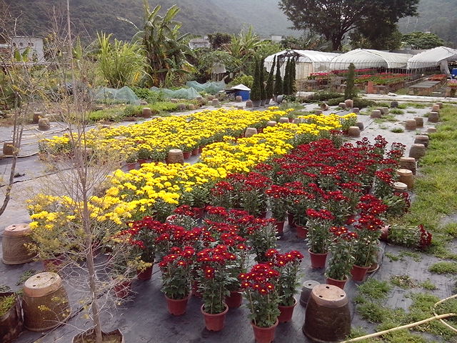 IMG_20130203_110332.jpg
