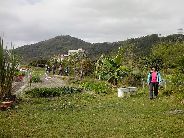 IMG_20130203_110808.jpg
