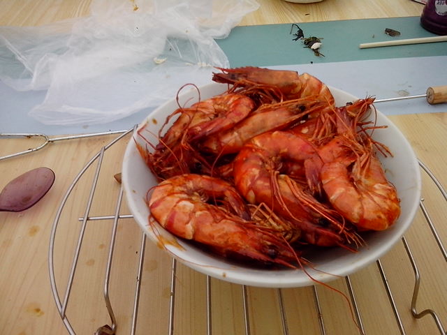 IMG_20130203_145549.jpg
