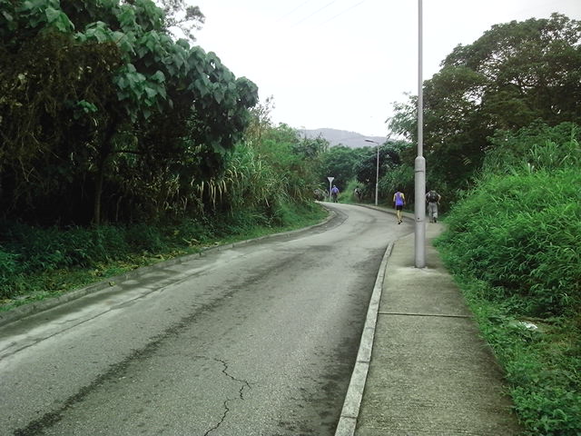 IMG_20130324_100701.jpg