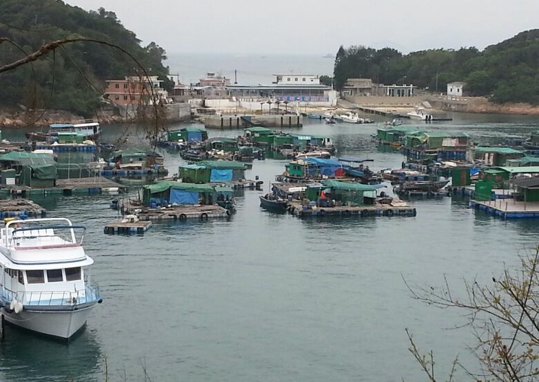IMG-20130407-WA0001-1.jpg