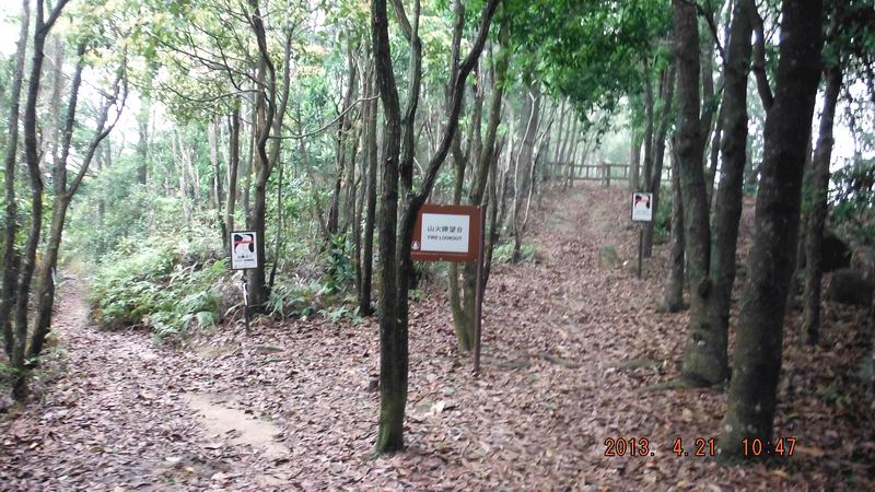 DSCF0901.jpg