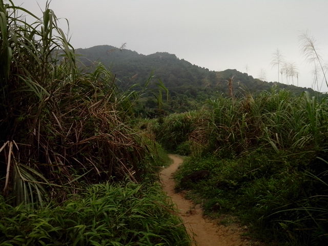 IMG_20130428_121338.jpg