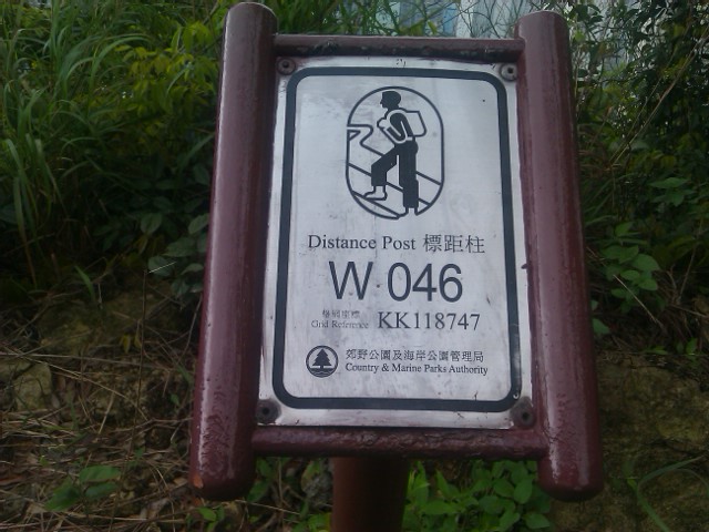 IMAG0100.jpg
