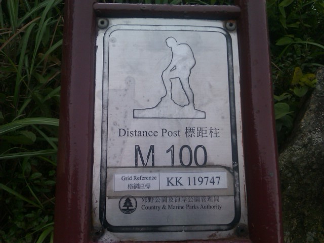 IMAG0101.jpg