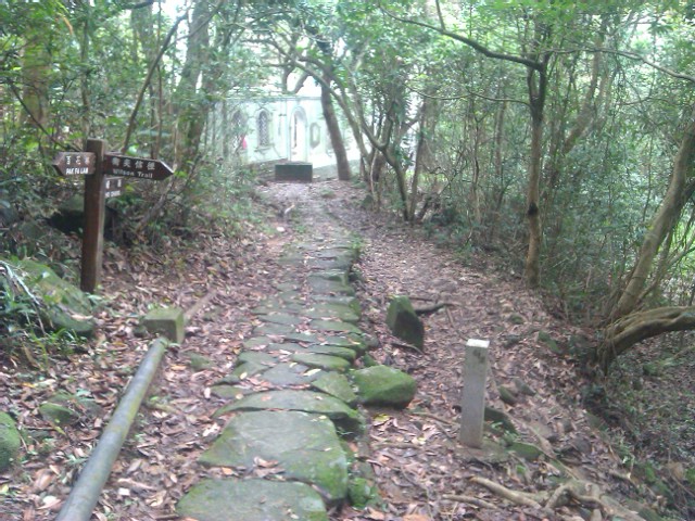 IMAG0106.jpg