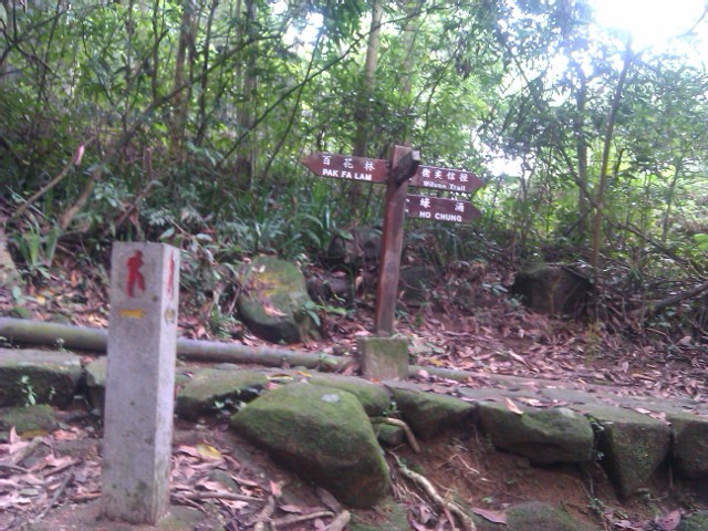 IMAG0107.jpg