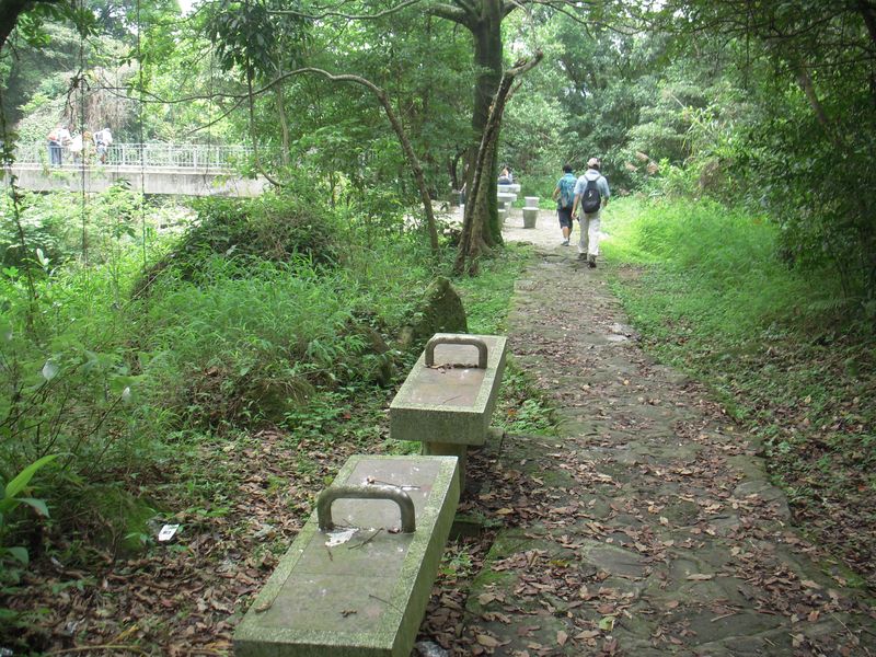 DSCN9831.jpg