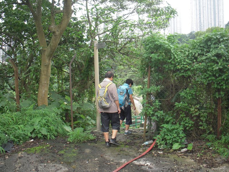 DSCN9834.jpg