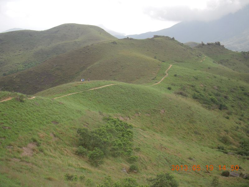 DSCN9986.jpg