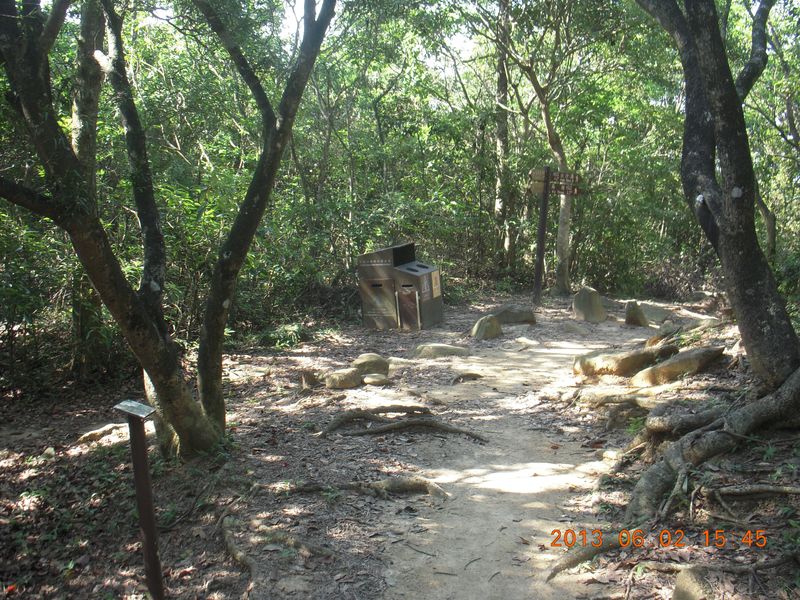 DSCN9986.jpg