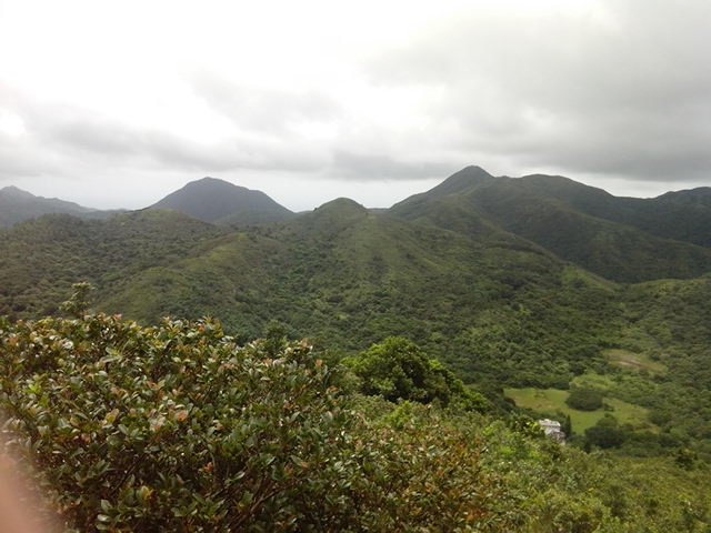 IMG_20130623_111637.jpg