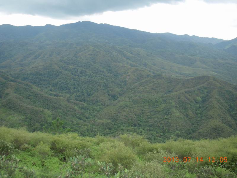 DSCN0061.jpg