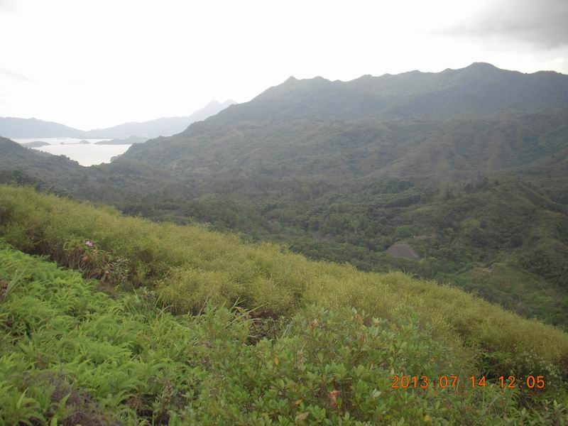 DSCN0062.jpg