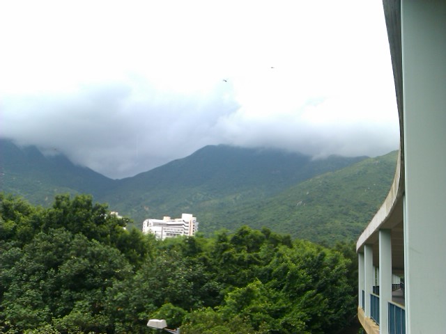 IMAG0132.jpg