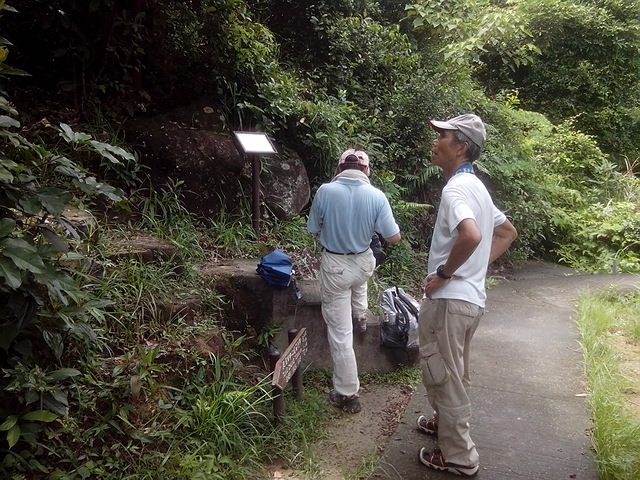 IMG_20130721_104748.jpg