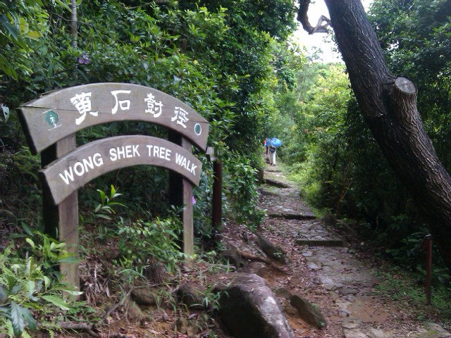 IMAG0136.jpg