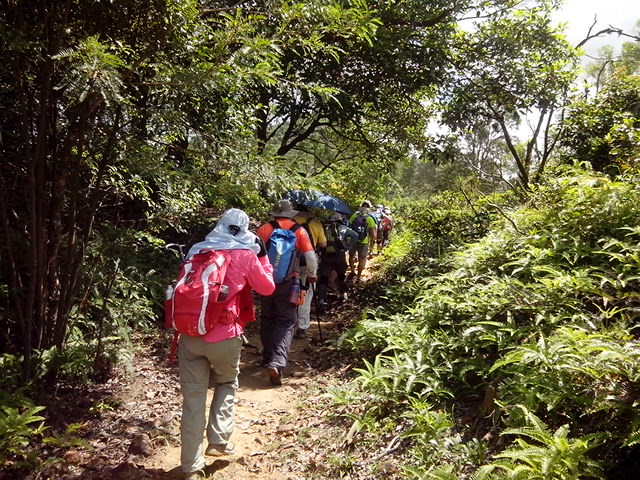 IMG_20130804_104537.jpg